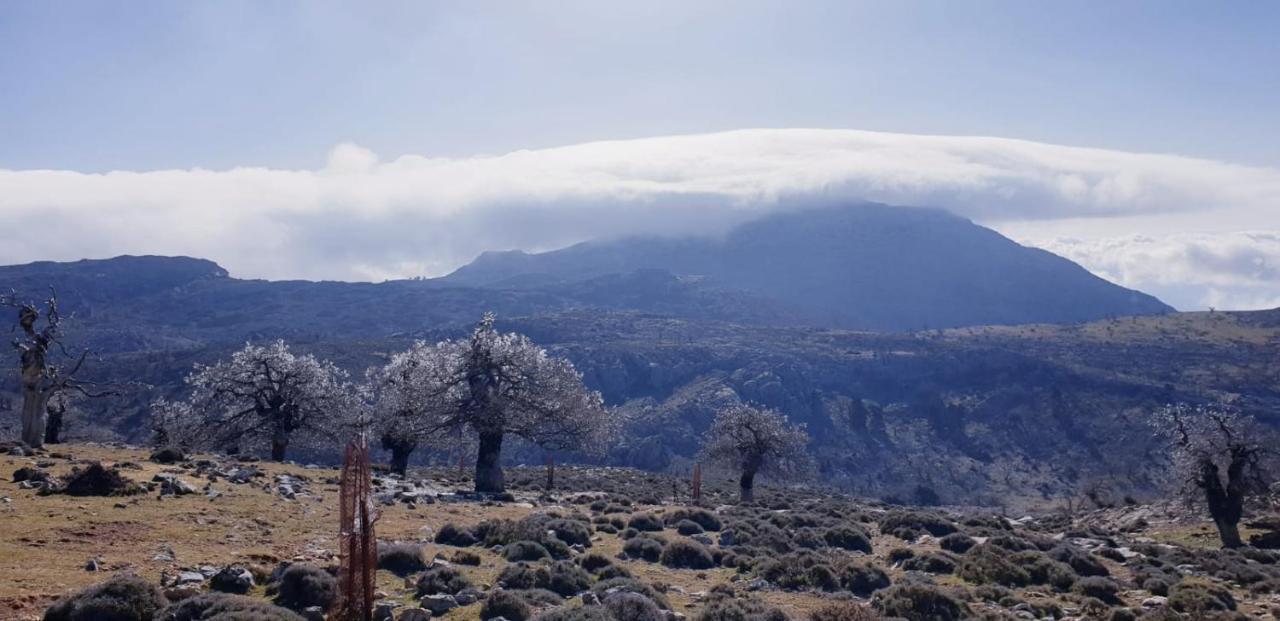 Hotel Sierra Hidalga Ronda Eksteriør billede